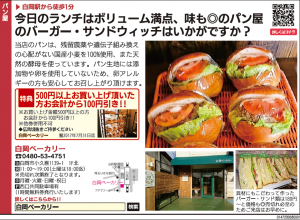 「ぱど6月9日号」に広告掲載